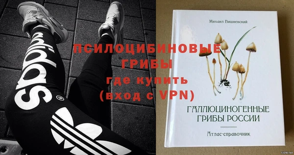 мдпв Алексин