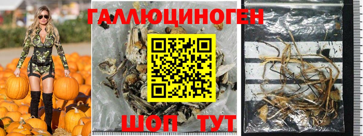 Галлюциногенные грибы мицелий  Вход с VPN  Псков 