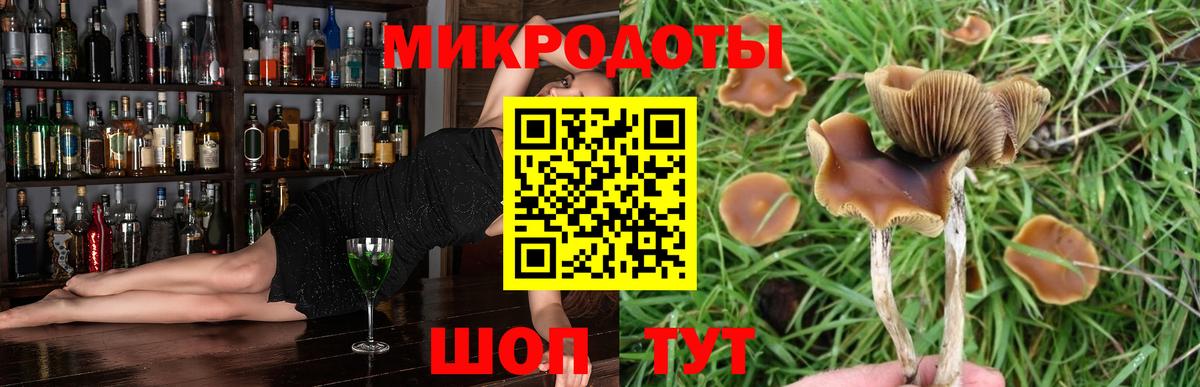 Псилоцибиновые грибы ЛСД Псков