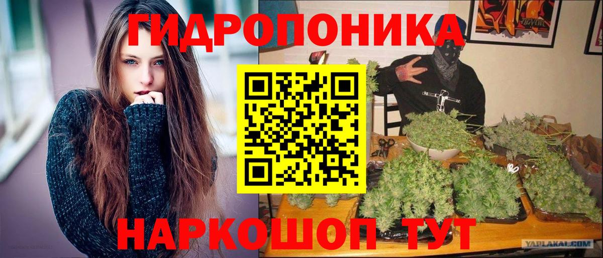 Каннабис SATIVA & INDICA Псков